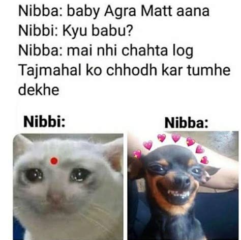 nibba nibbi